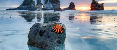 Event-Image for 'Explora: Wunderwerk Natur - Wie wir unseren Planeten retten'