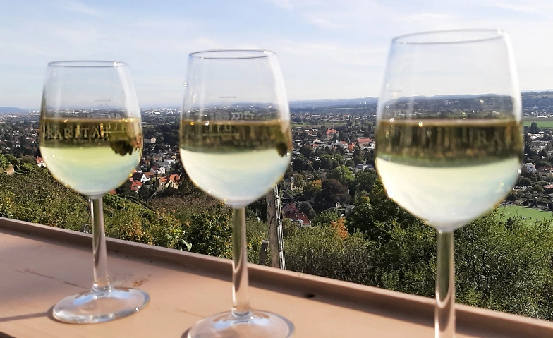 Event-Image for 'Moderierte Weinwanderung, Friedsteintour, ca. 3 h'