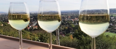 Event-Image for 'Moderierte Weinwanderung, Friedsteintour, ca. 3 h'