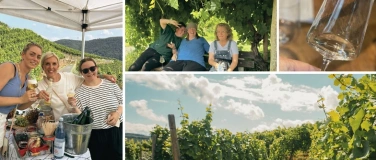 Event-Image for '&Ouml;ffentliche Weinwanderung in Winningen'