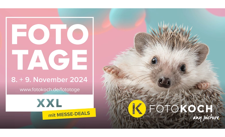 Fototage XXL ${singleEventLocation} Billets