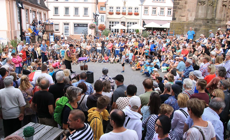 Event-Image for 'St. Wendeler Zauberfestival mit neuen Weltklasse-Shows'