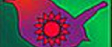 Event-Image for 'Naturmandala- Magietreff + Hexenstammtisch Zaunreiter'