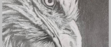 Event-Image for 'Zeichnen lernen - Schritt f&uuml;r Schritt'