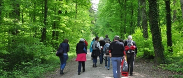 Event-Image for 'zäme go Laufe ab 60 Jahre Wanderung ins Jakobstal 3.9 km'