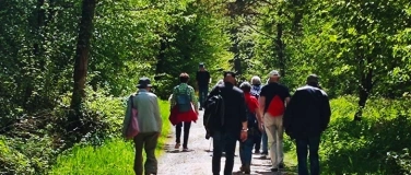 Event-Image for 'Zäme go Laufe 60+ Dachslenberg Gemächlich'