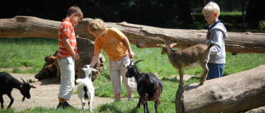 Event-Image for 'Sommerspaß im Wildpark Schwarze Berge'