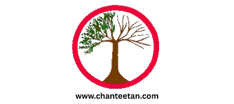 Veranstalter:in von Heroes & Honey in THE RETURN OF THE BUFFALO